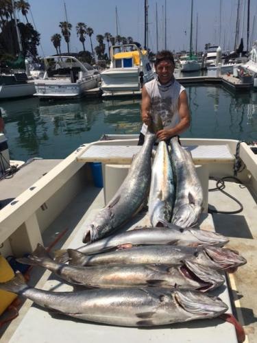 catalina-seabass-haul-e1521753353835